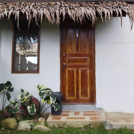 סן ויסנטה Ziah'S Guest House מראה חיצוני תמונה