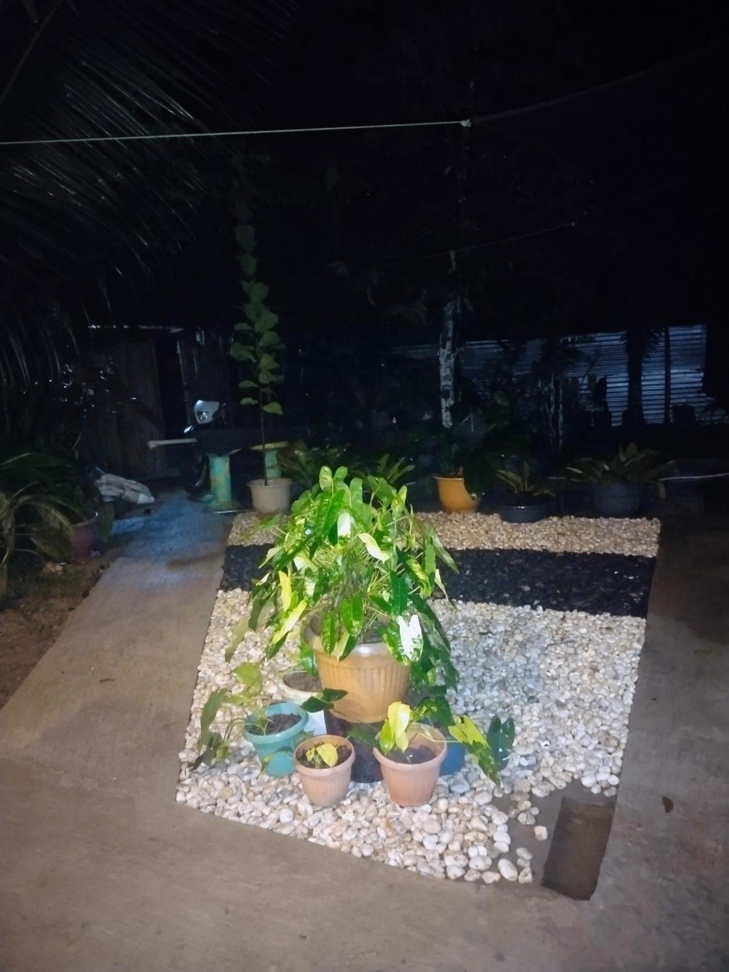 סן ויסנטה Ziah'S Guest House מראה חיצוני תמונה