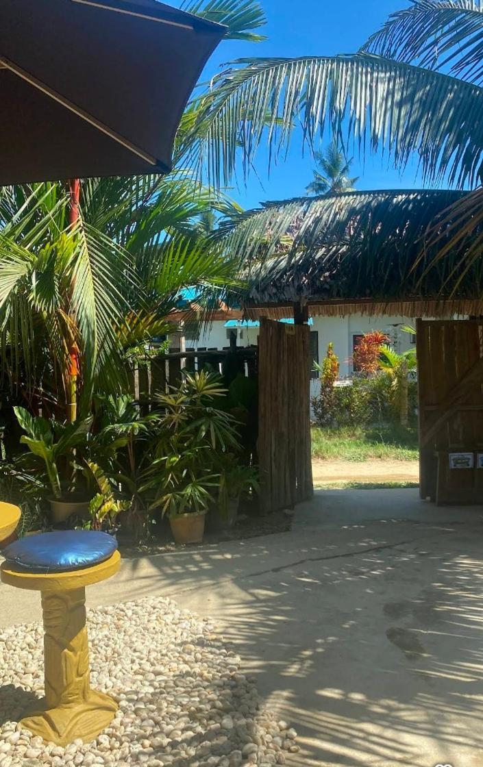 סן ויסנטה Ziah'S Guest House מראה חיצוני תמונה